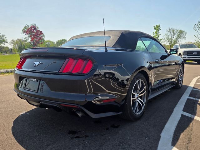 Used 2015 Ford Mustang Premium RWD image 10