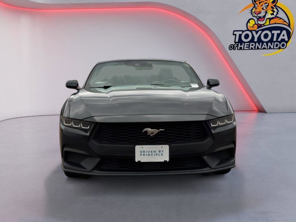 Used 2024 Ford Mustang Premium image 2