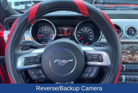 Used 2015 Ford Mustang Premium w/ Ecoboost Performance Package RWD image 3