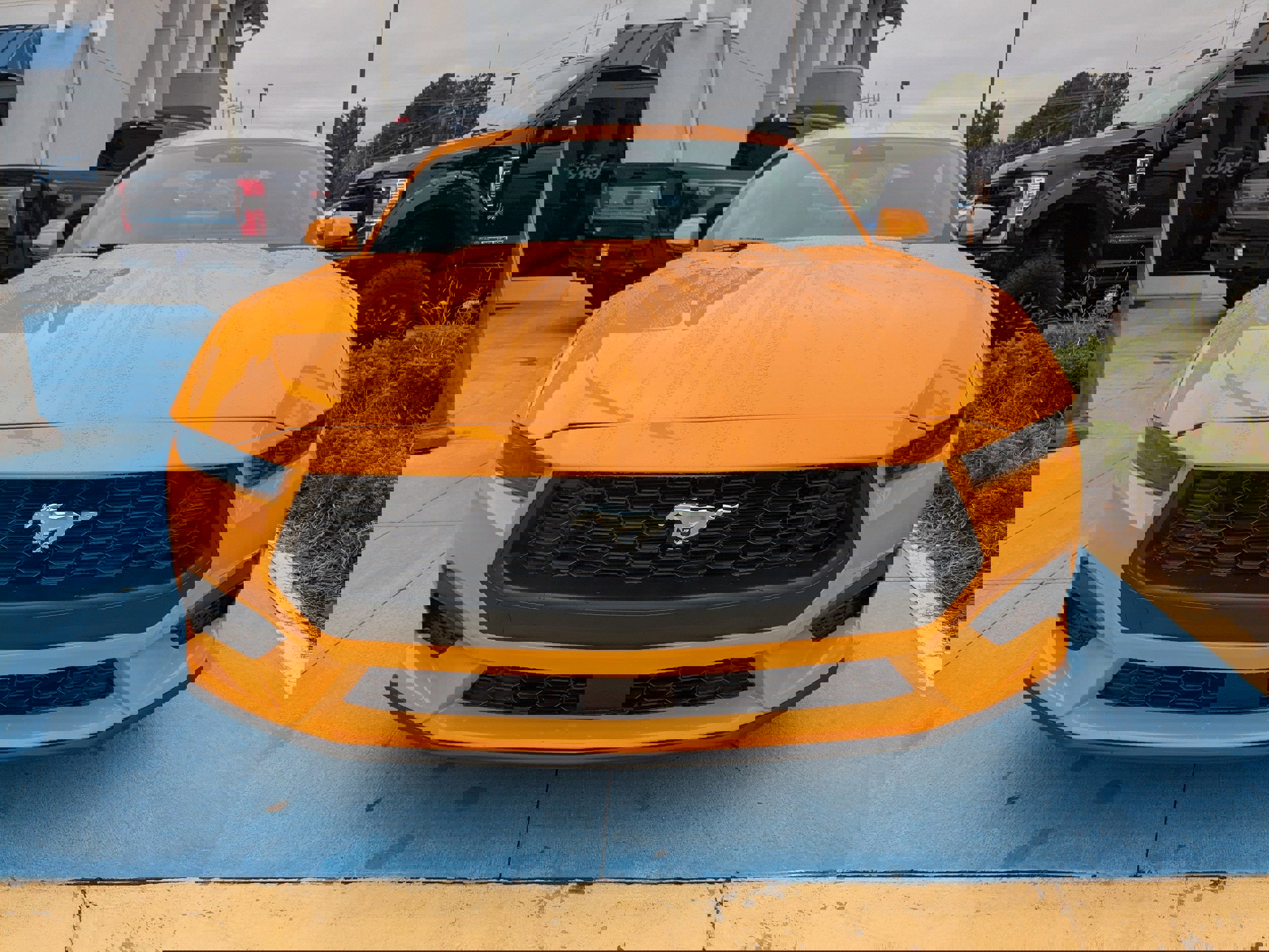 New 2026 Ford Mustang Premium image 8