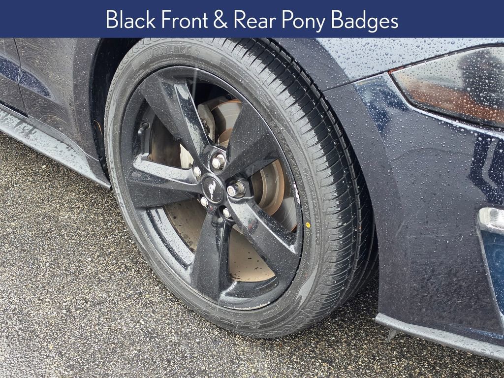 Used 2021 Ford Mustang Premium w/ Black Accent Package image 14