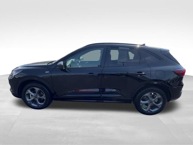 Used 2024 Ford Escape ST-Line w/ Tech Pack #1 AWD/4WD image 3