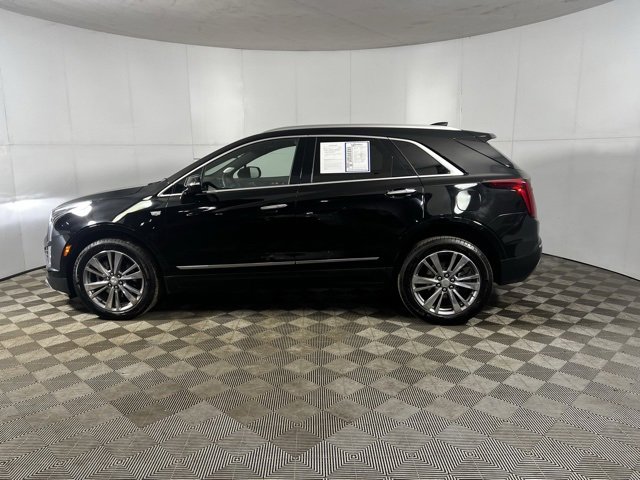 Used 2025 Cadillac XT5 Premium Luxury image 2