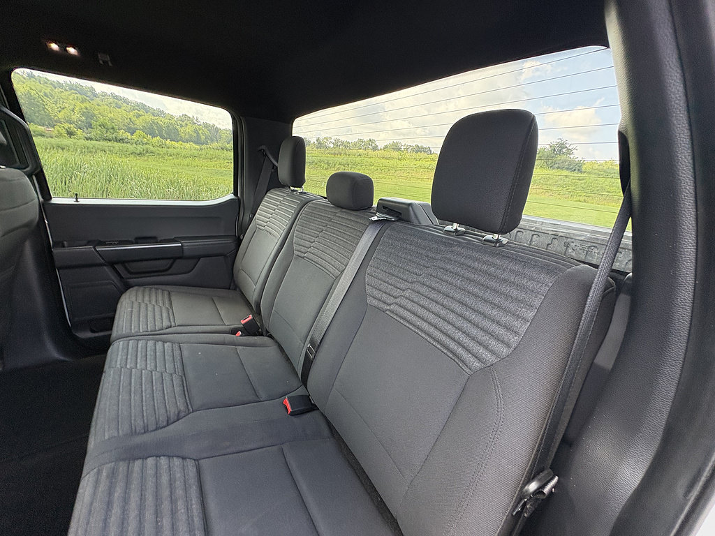 Used 2023 Ford F150 XL w/ STX Appearance Package AWD/4WD image 19