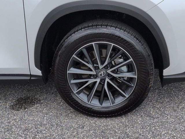 Used 2025 Lexus NX 250 FWD w/ Accessory Package (Z1) image 11