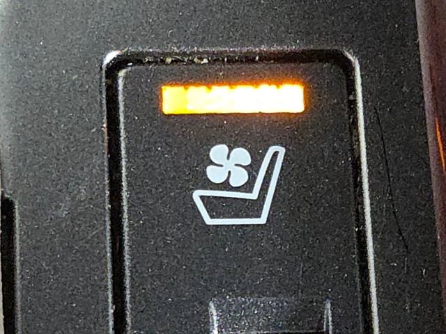 Used 2016 Lexus GX 460 Luxury image 36