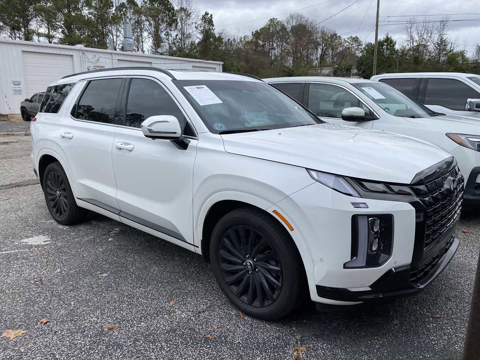 Certified 2025 Hyundai Palisade Calligraphy image 1