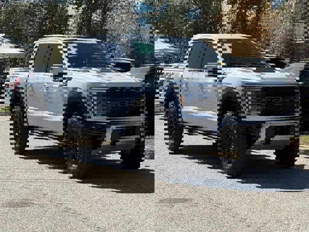 Used 2025 Ford F150 Raptor image 10