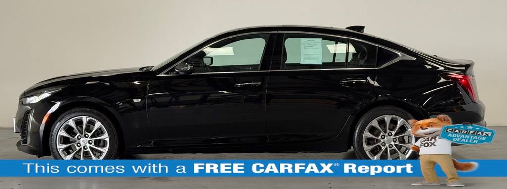 Used 2021 Cadillac CT5 Premium Luxury image 2