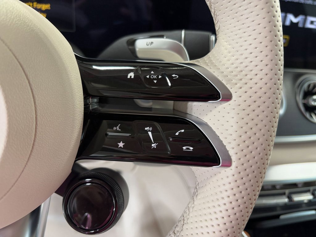 Used 2023 Mercedes-Benz AMG GT 53 image 14