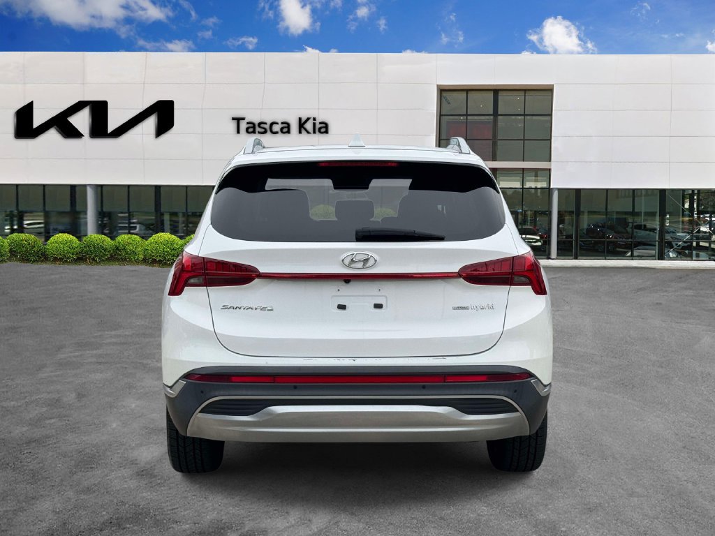 Used 2023 Hyundai Santa Fe SEL Premium AWD/4WD image 5