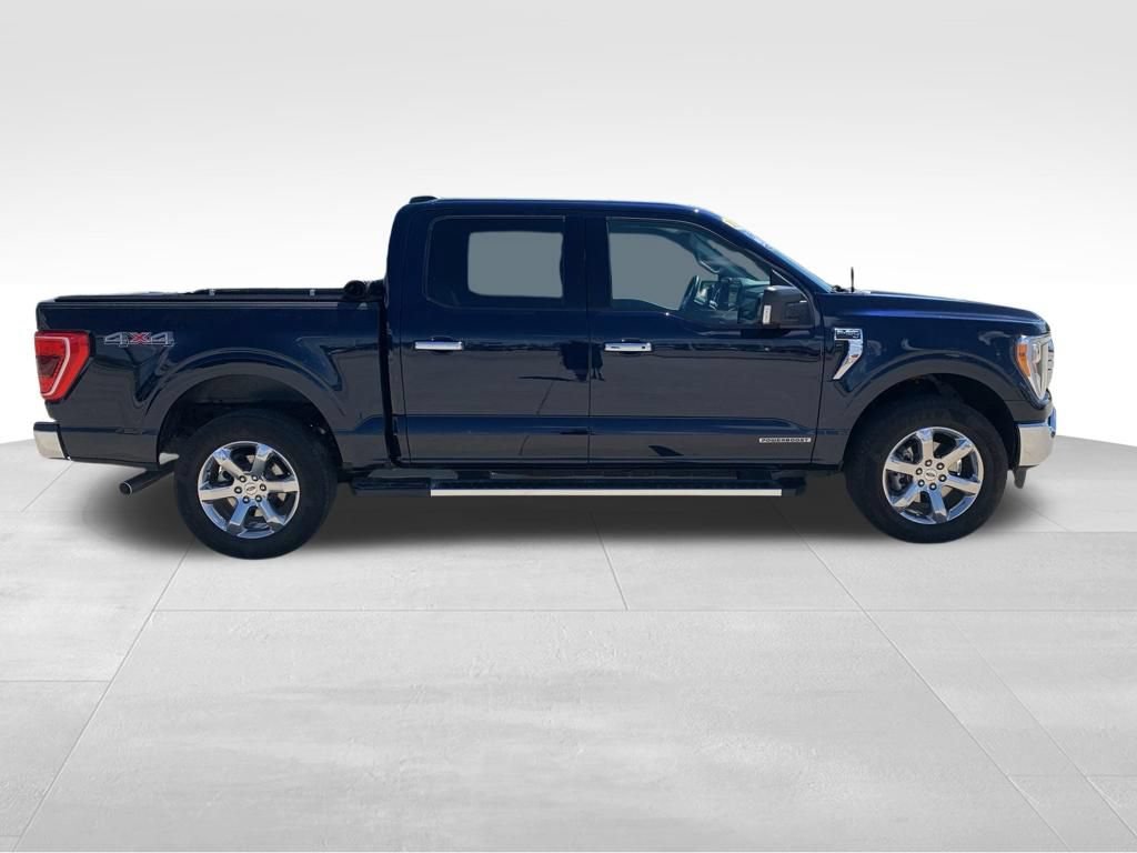 Used 2023 Ford F150 XLT w/ Equipment Group 302A High AWD/4WD image 12