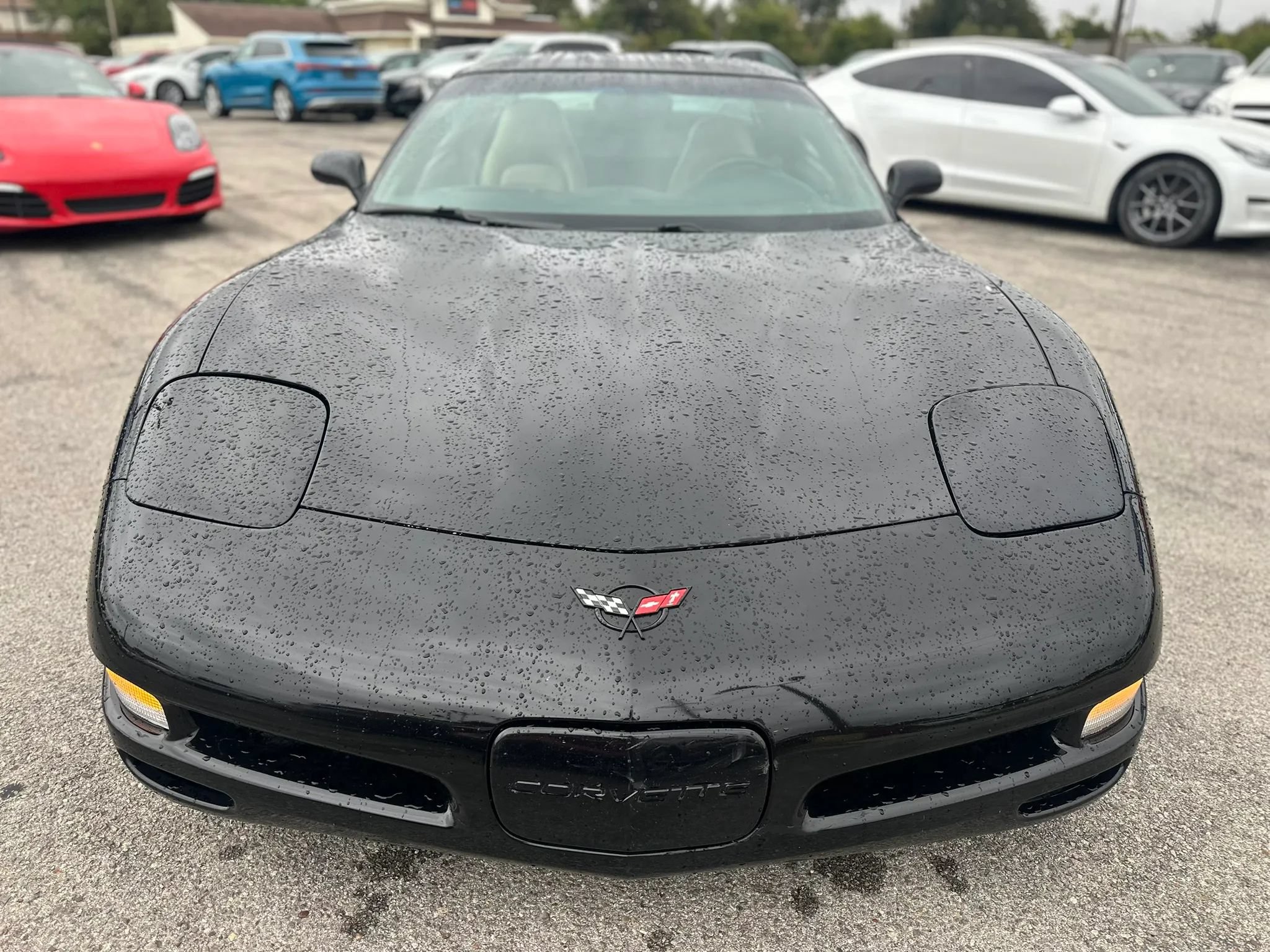Used 2004 Chevrolet Corvette Coupe RWD image 2