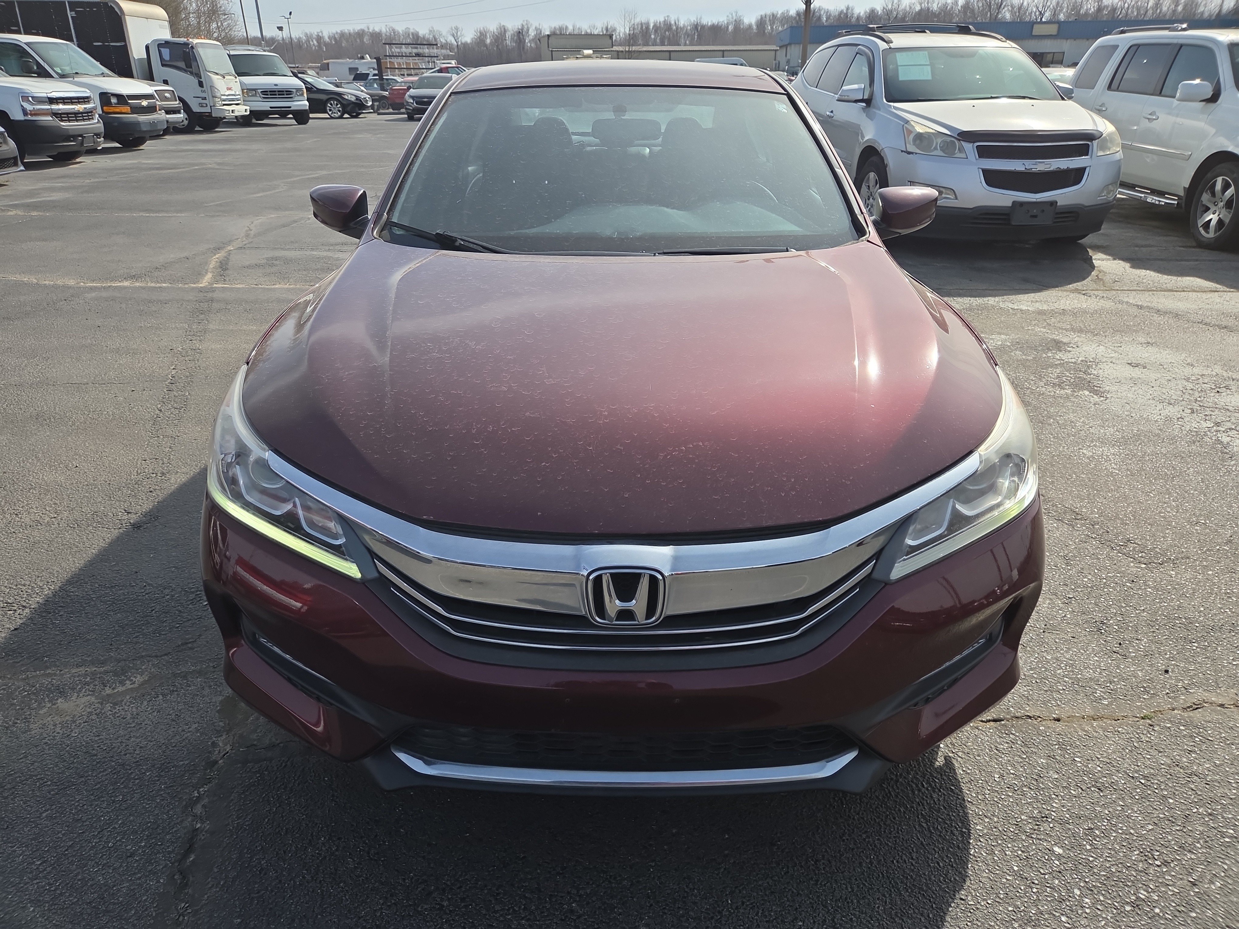 Used 2016 Honda Accord Sport image 8