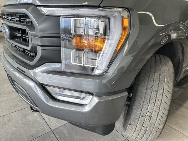 Used 2023 Ford F150 XLT w/ Equipment Group 302A High AWD/4WD image 16