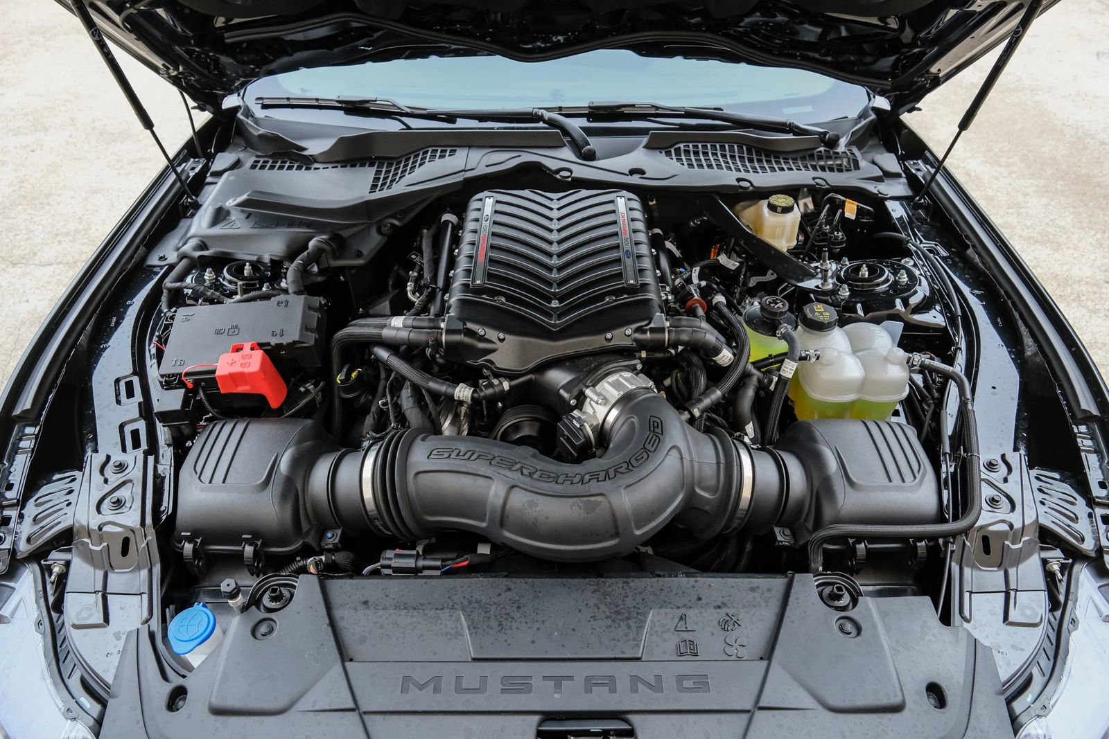 Used 2024 Ford Mustang GT Premium w/ GT Performance Package RWD image 72