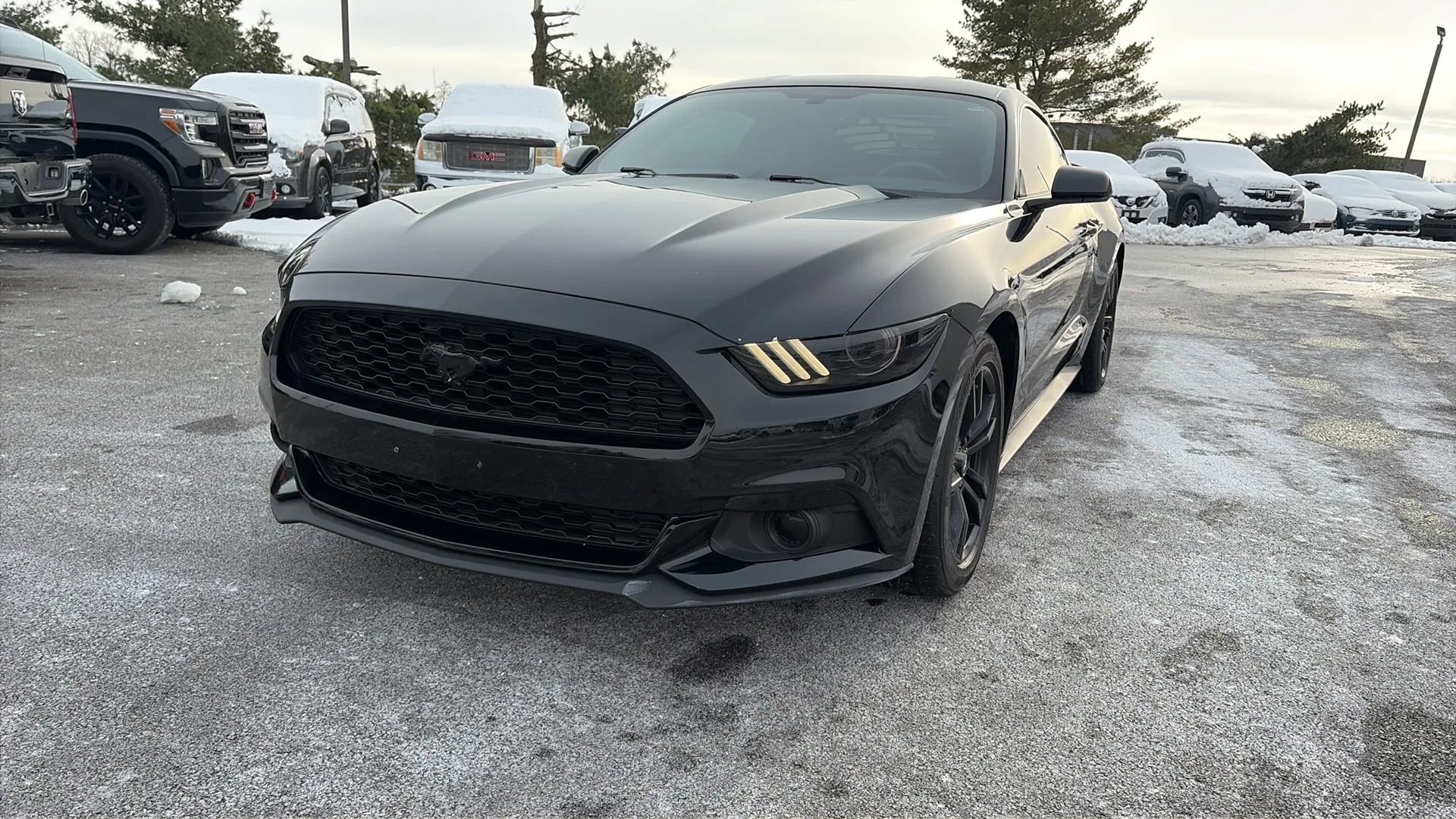 Used 2017 Ford Mustang Coupe image 17