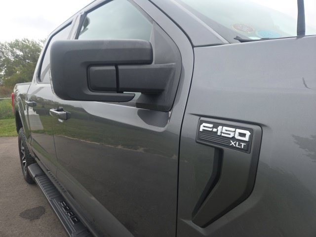 Used 2023 Ford F150 XLT w/ Equipment Group 302A High AWD/4WD image 5