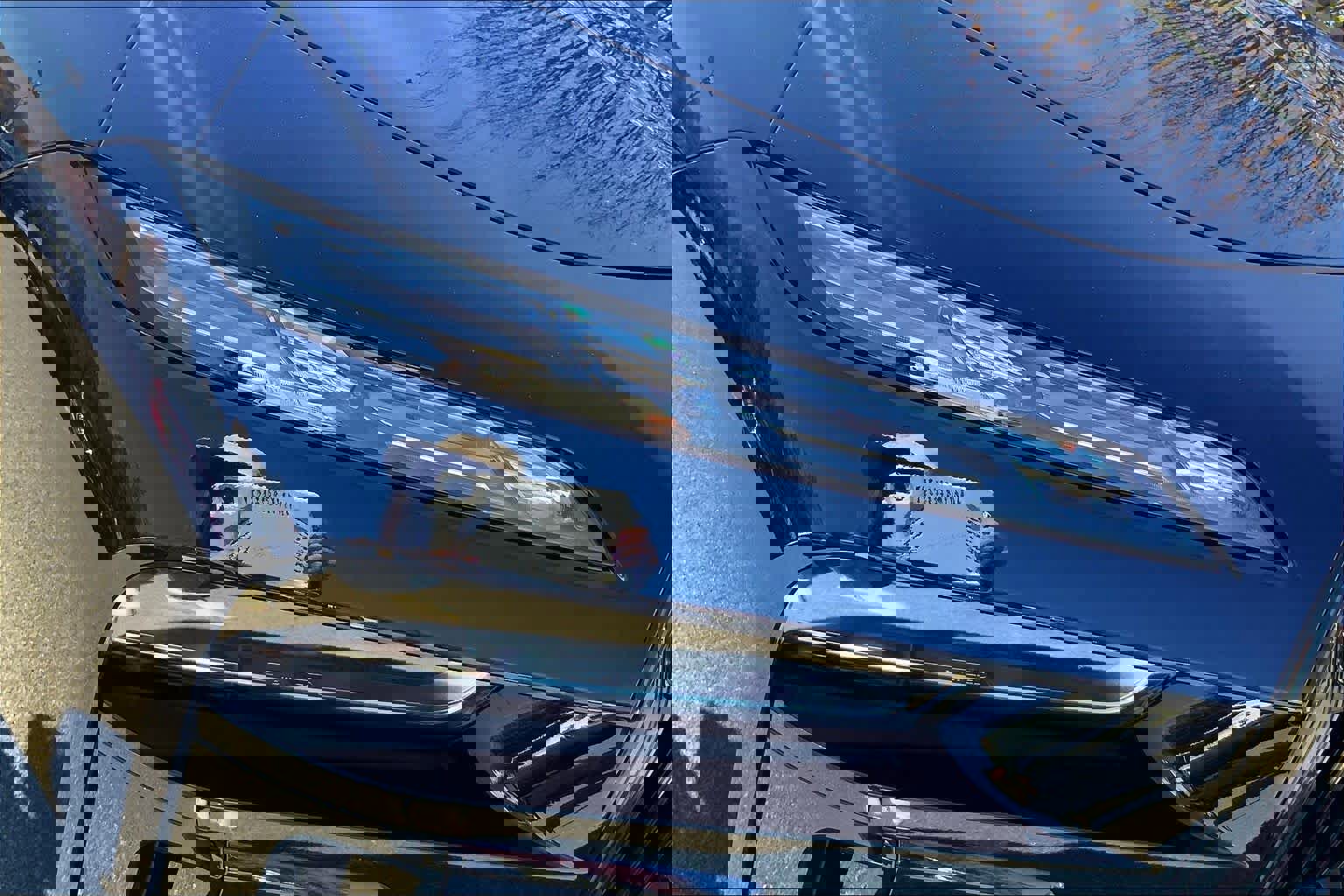 New 2026 BMW i7 eDrive50 w/ Executive Package image 13