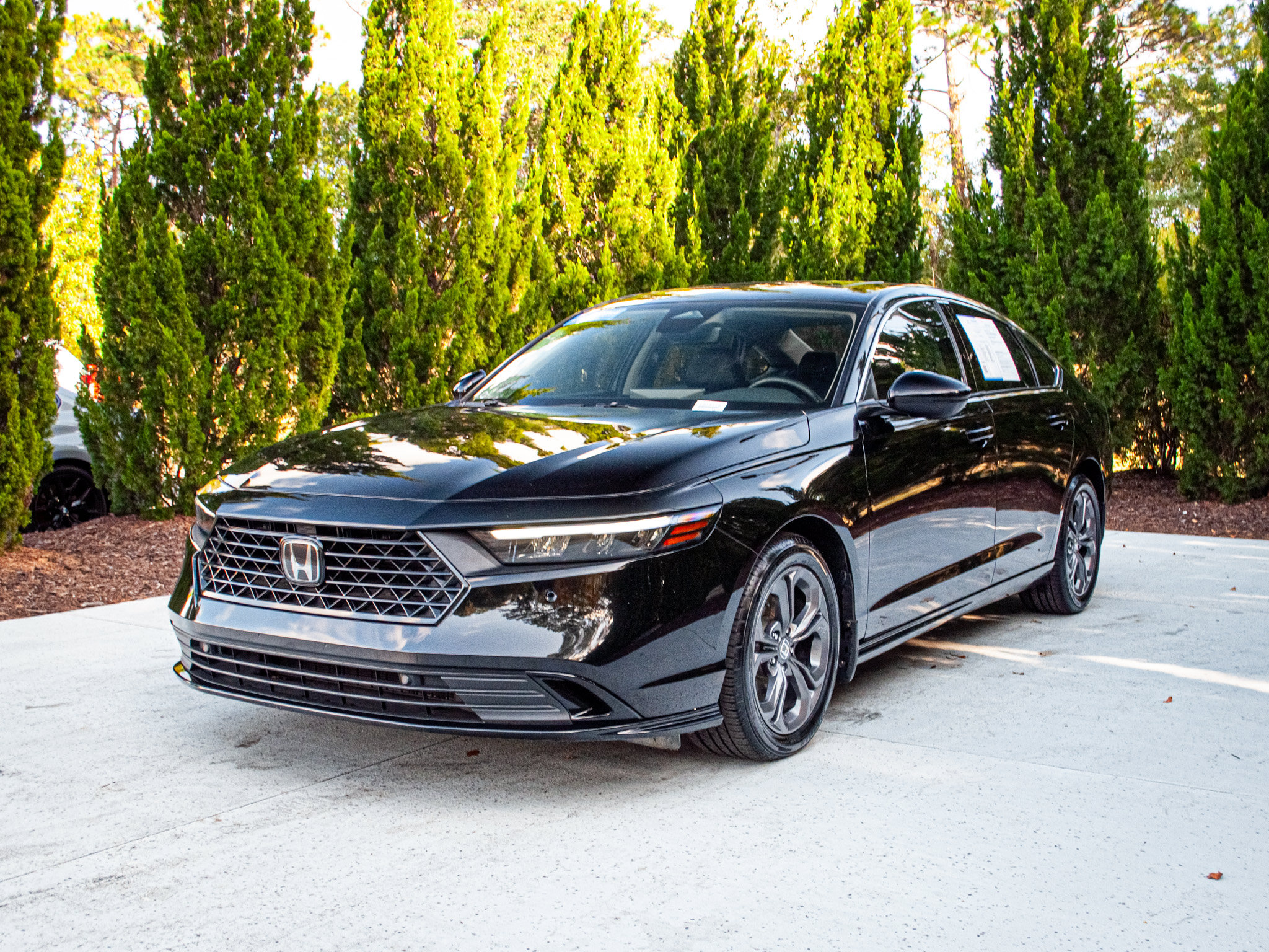 Used 2025 Honda Accord EX-L image 5