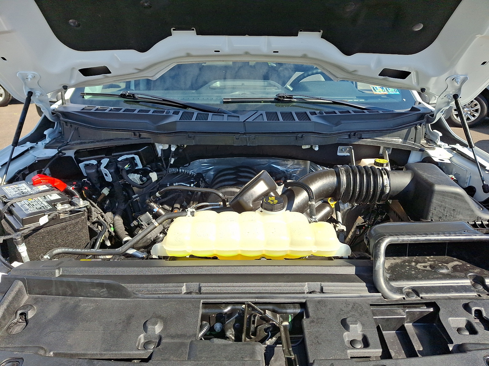Used 2025 Ford F150 XLT w/ Equipment Group 301A Standard AWD/4WD image 28