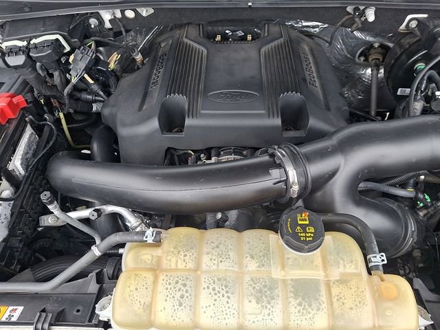 Used 2019 Ford Expedition XLT w/ Equipment Group 202A image 29