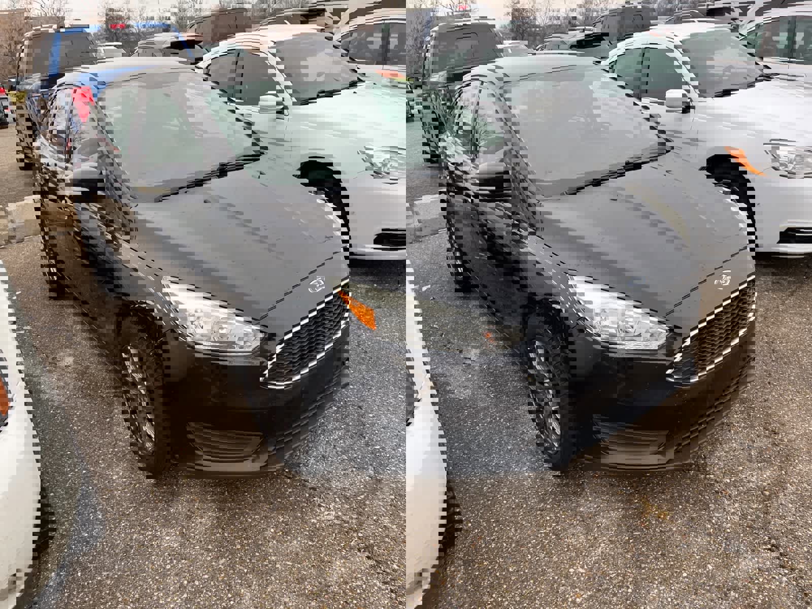 Used 2015 Ford Focus SE image 19