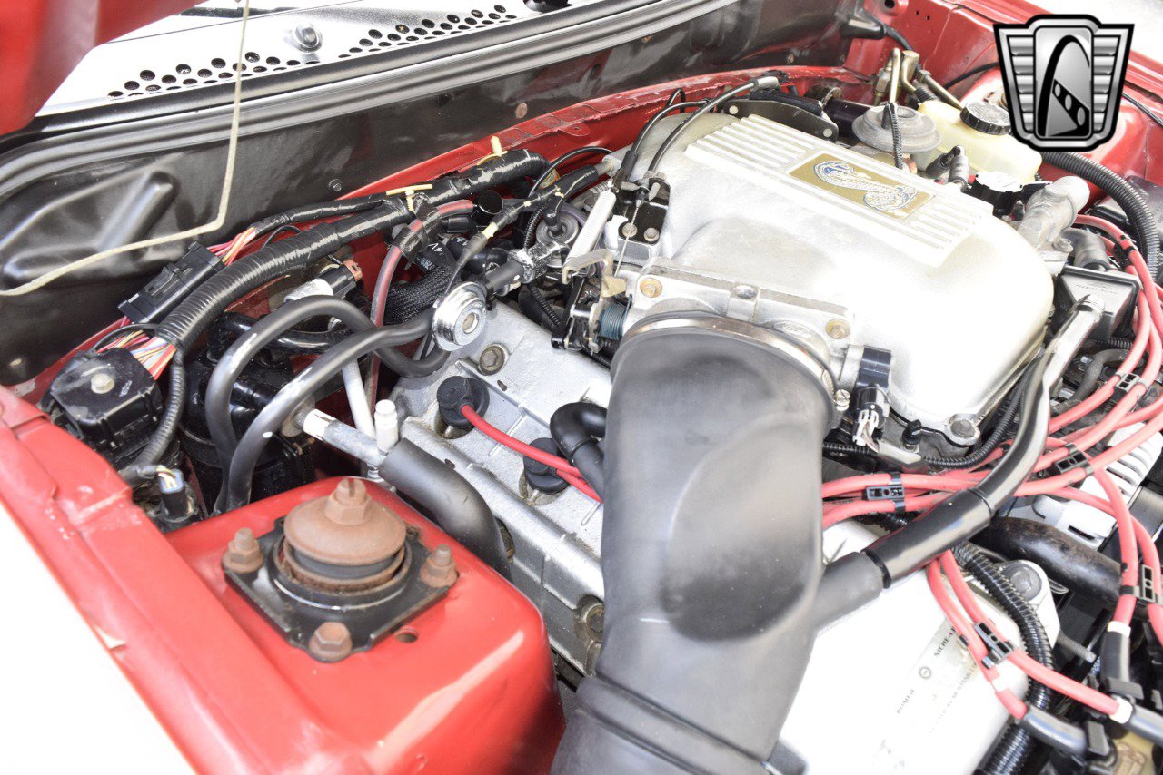 Used 1998 Ford Mustang Cobra image 19