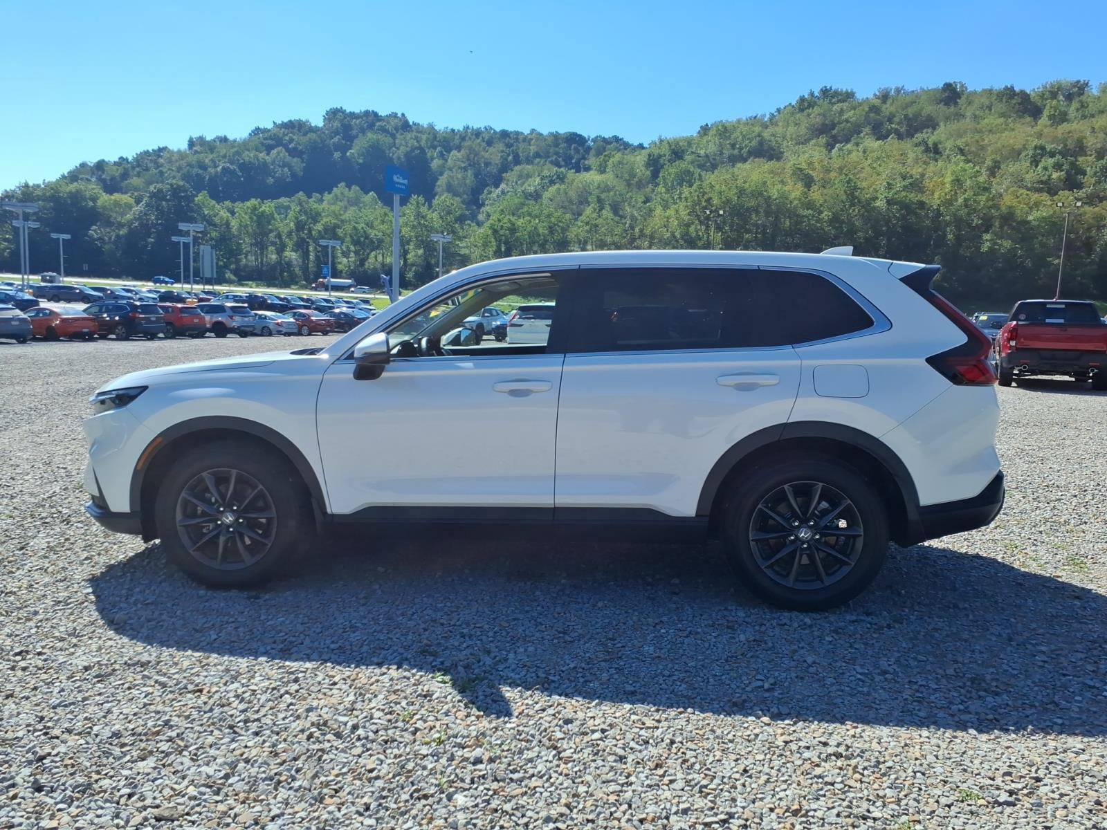 Used 2026 Honda CR-V EX-L image 8