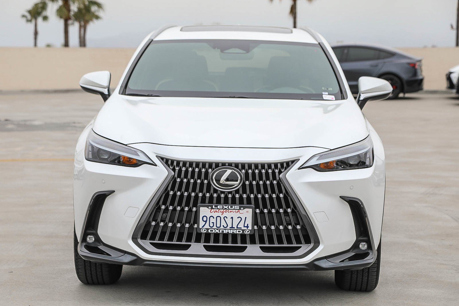 Used 2024 Lexus NX 350 AWD image 2