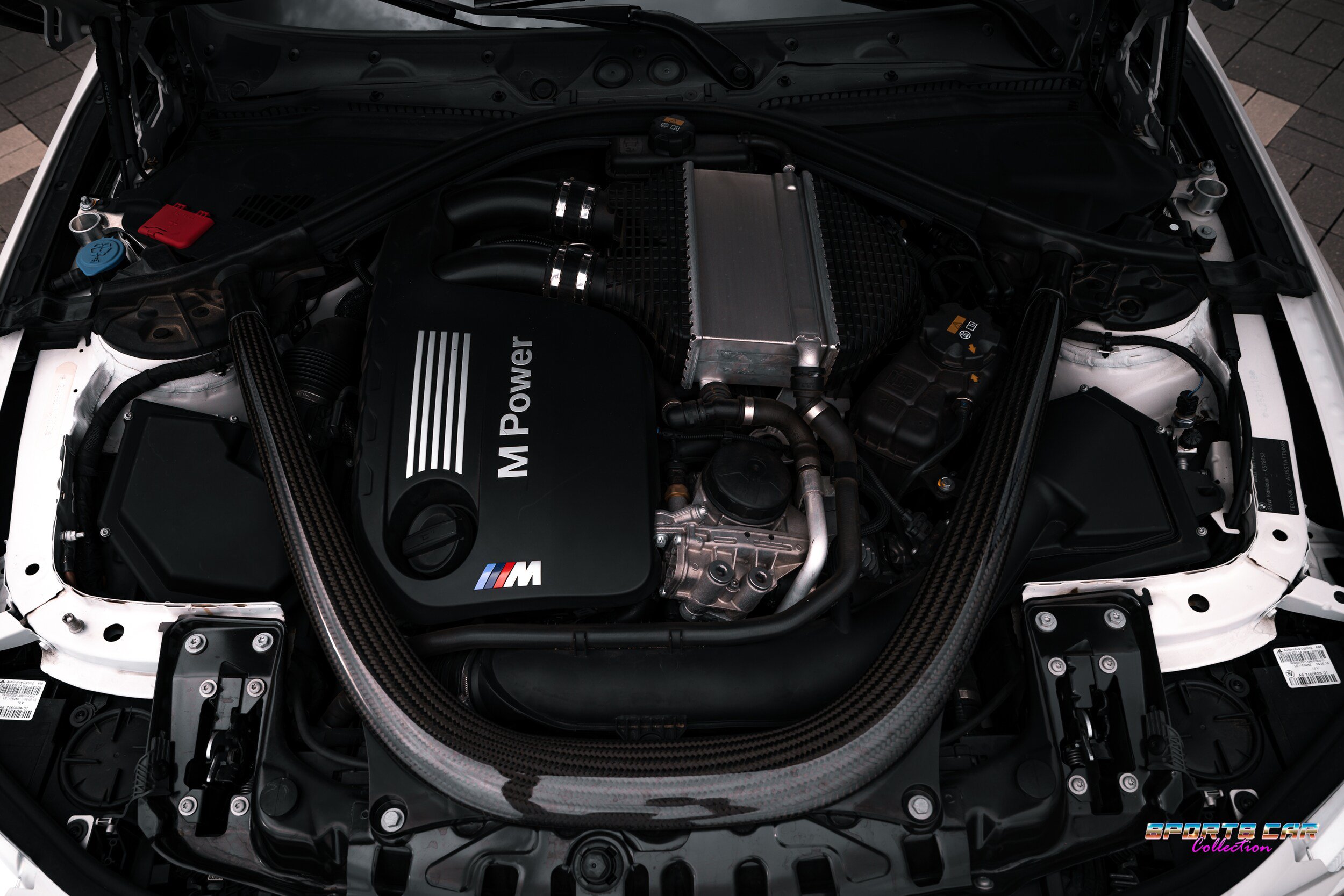 Used 2016 BMW M4 GTS RWD image 31