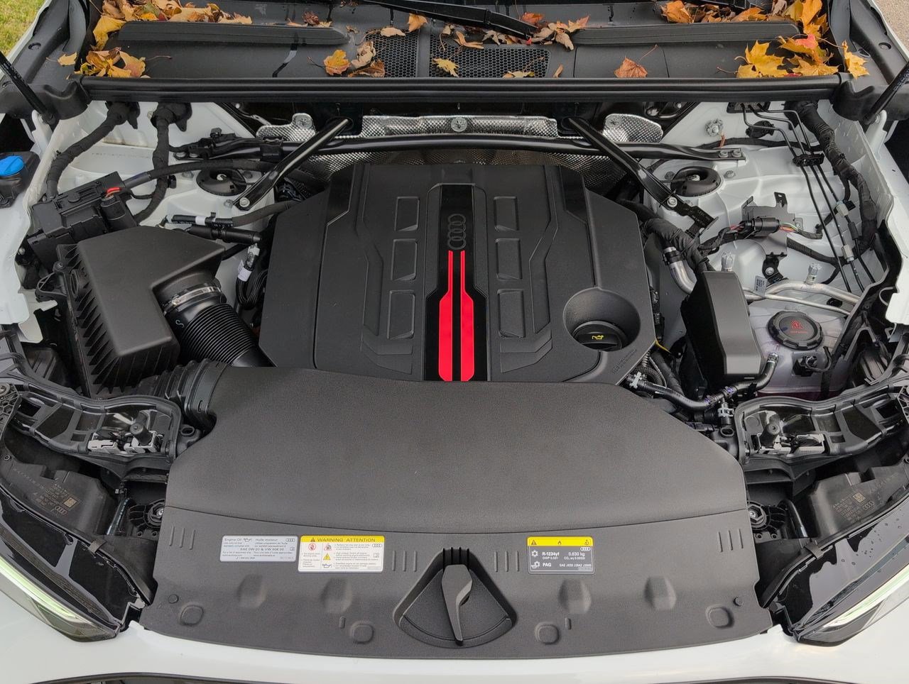 New 2025 Audi SQ5 Prestige image 28