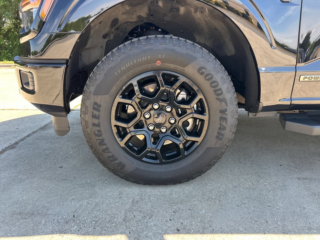 Used 2025 Ford F150 XLT w/ Equipment Group 301A Standard AWD/4WD image 19
