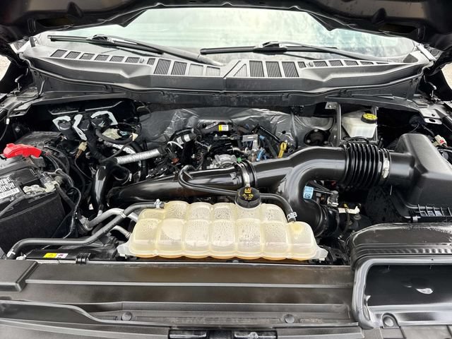 Used 2023 Ford F150 XL w/ STX Appearance Package RWD image 10