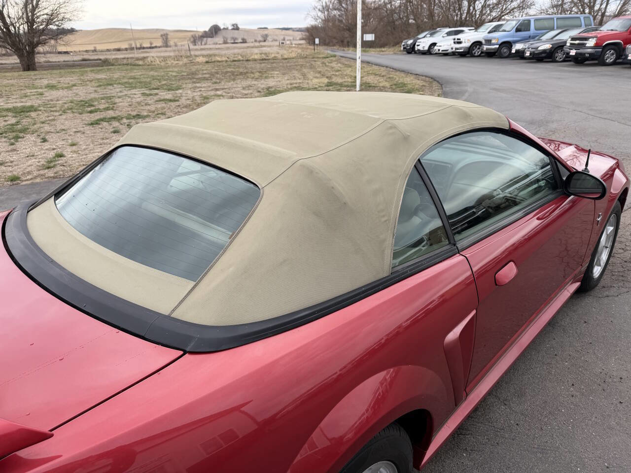 Used 2001 Ford Mustang Convertible image 22