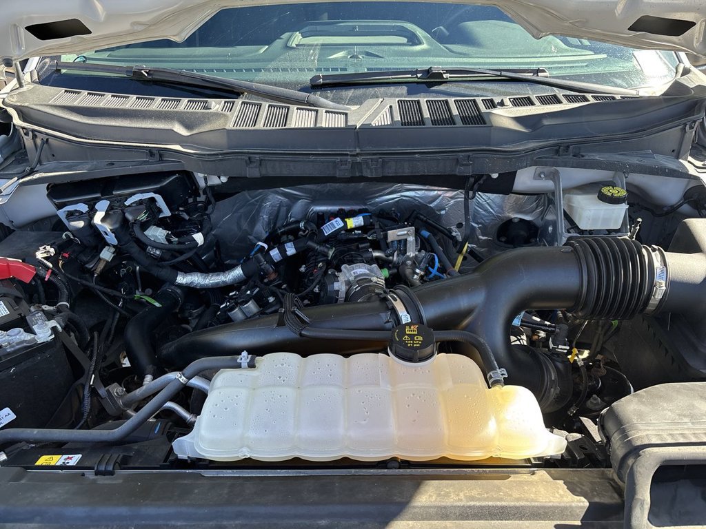 Used 2024 Ford F150 STX w/ STX Black Appearance Package AWD/4WD image 29
