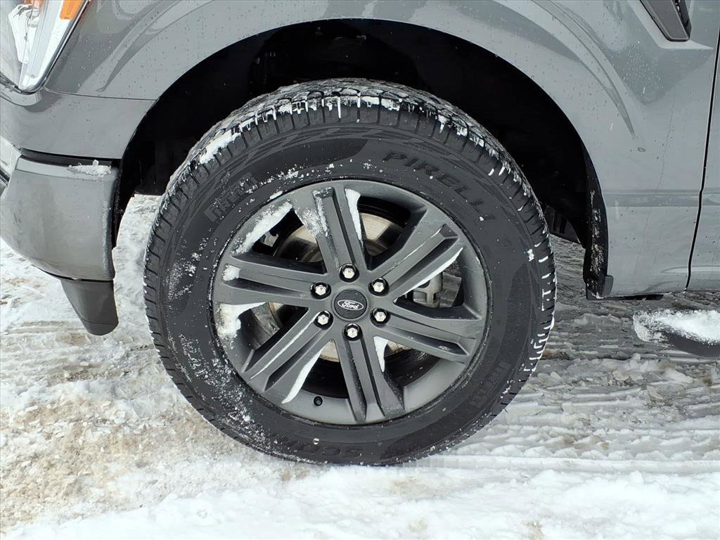 Used 2023 Ford F150 XLT w/ Equipment Group 302A High image 9