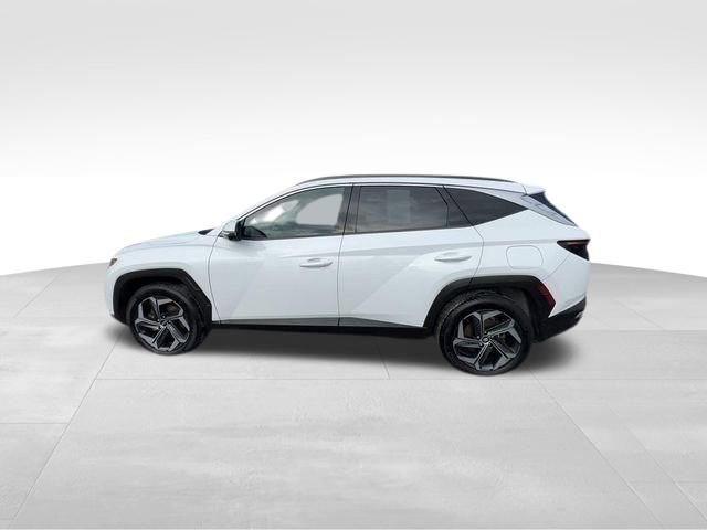 Used 2022 Hyundai Tucson Limited AWD/4WD image 10