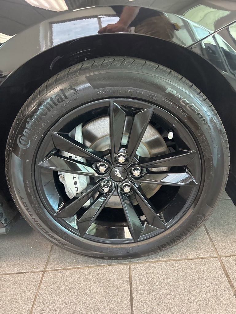 Used 2025 Ford Mustang GT RWD image 15
