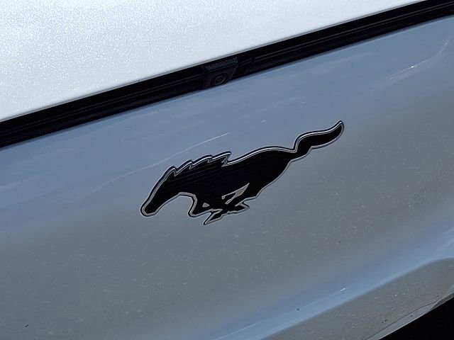 Used 2021 Ford Mustang Mach-E Premium RWD image 26