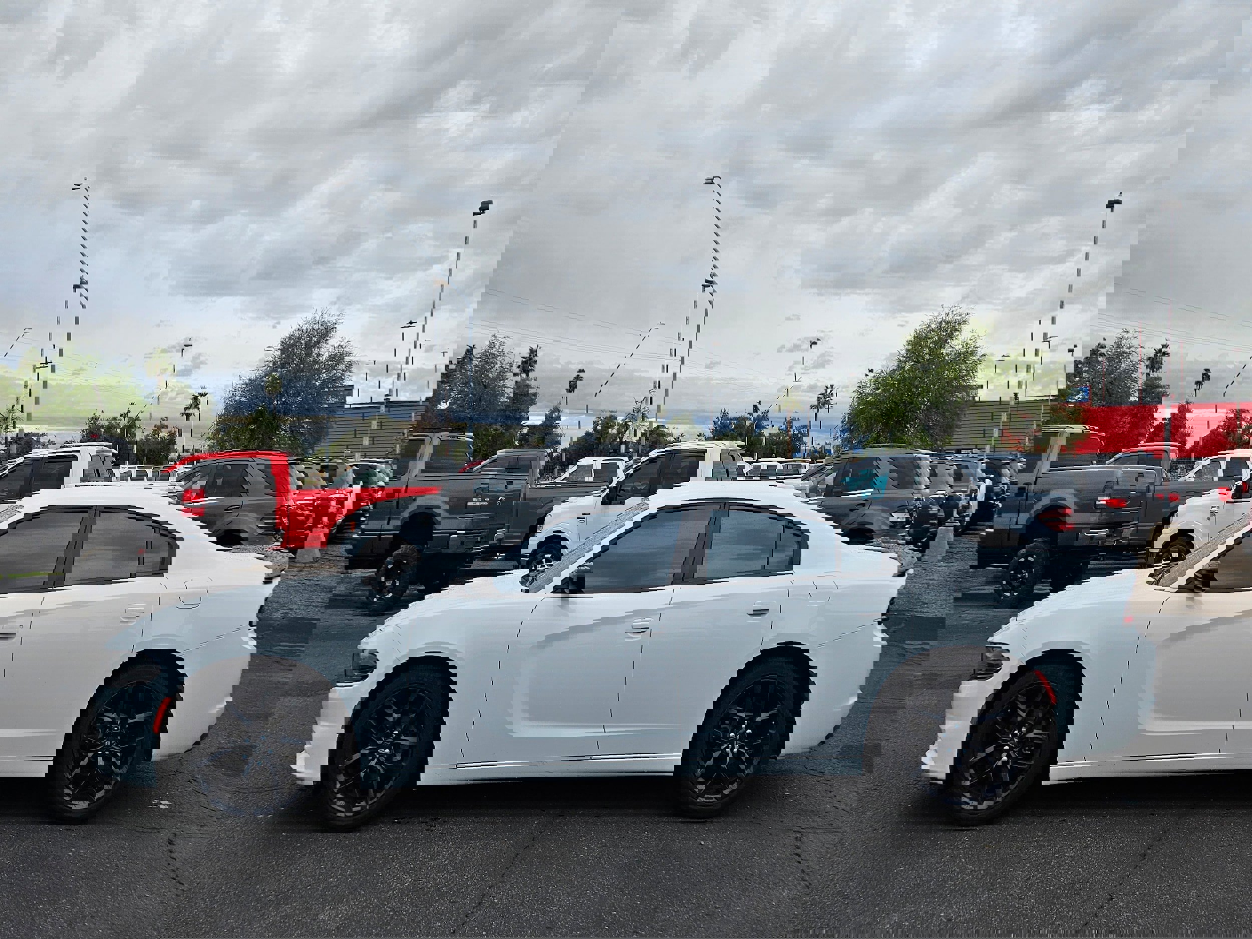 Used 2020 Dodge Charger SXT w/ Blacktop Package image 2