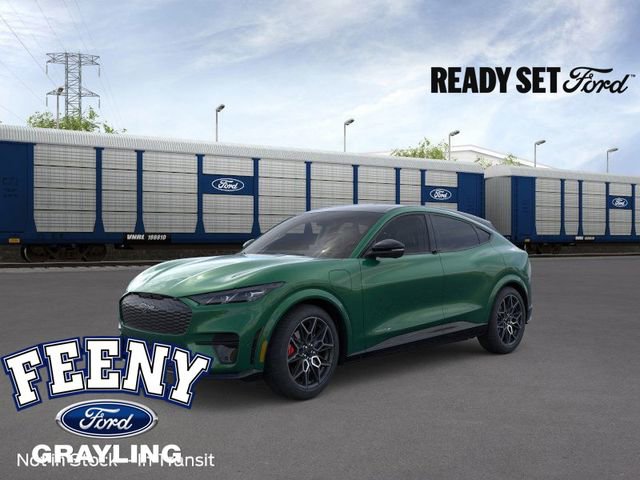 New 2025 Ford Mustang Mach-E GT w/ Interior Protection Package image 1