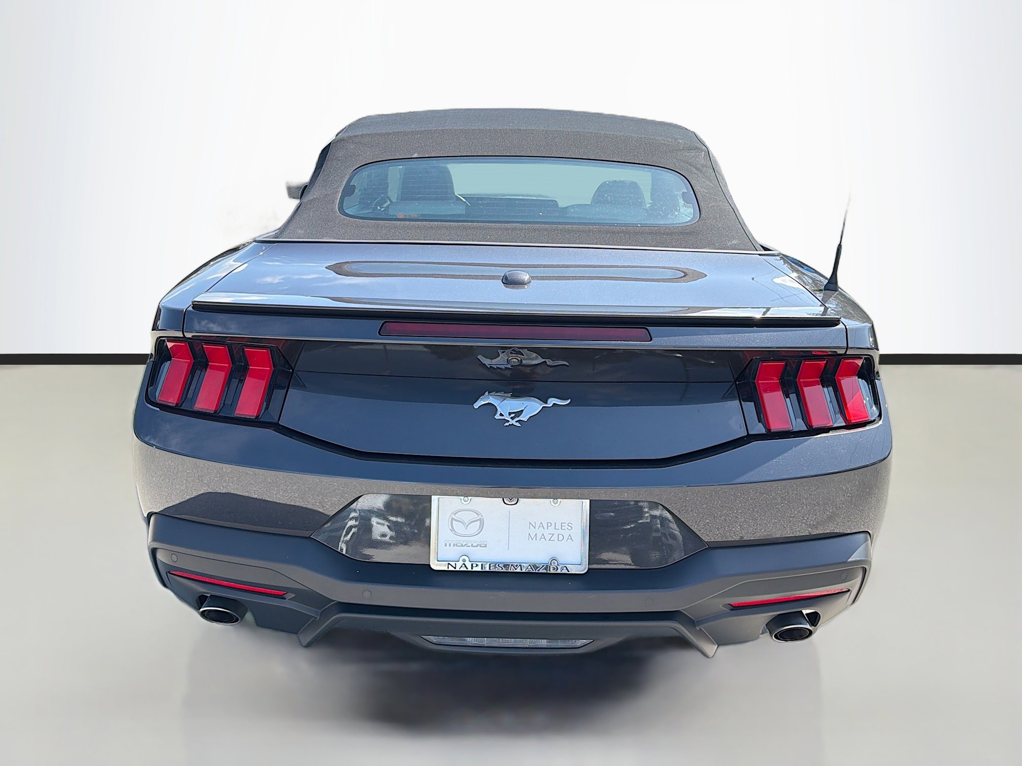 Used 2024 Ford Mustang Premium image 4