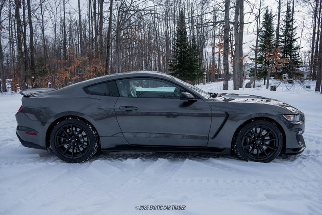 Used 2015 Ford Mustang Shelby GT350 image 9