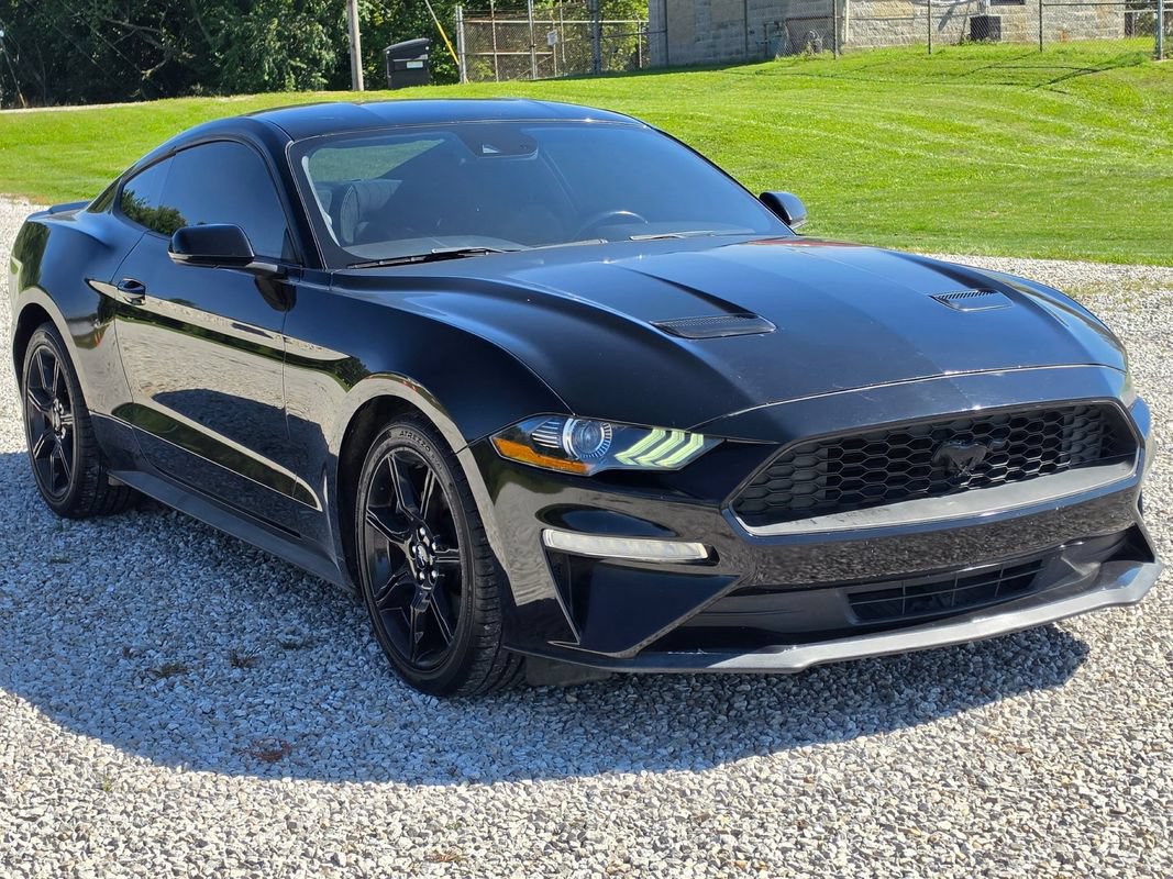 Used 2019 Ford Mustang Coupe w/ Ford Safe & Smart Package RWD image 4