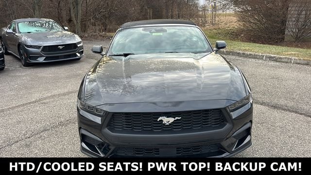 New 2026 Ford Mustang Premium RWD image 6