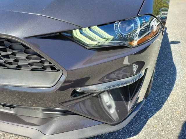 Used 2022 Ford Mustang EcoBoost image 16