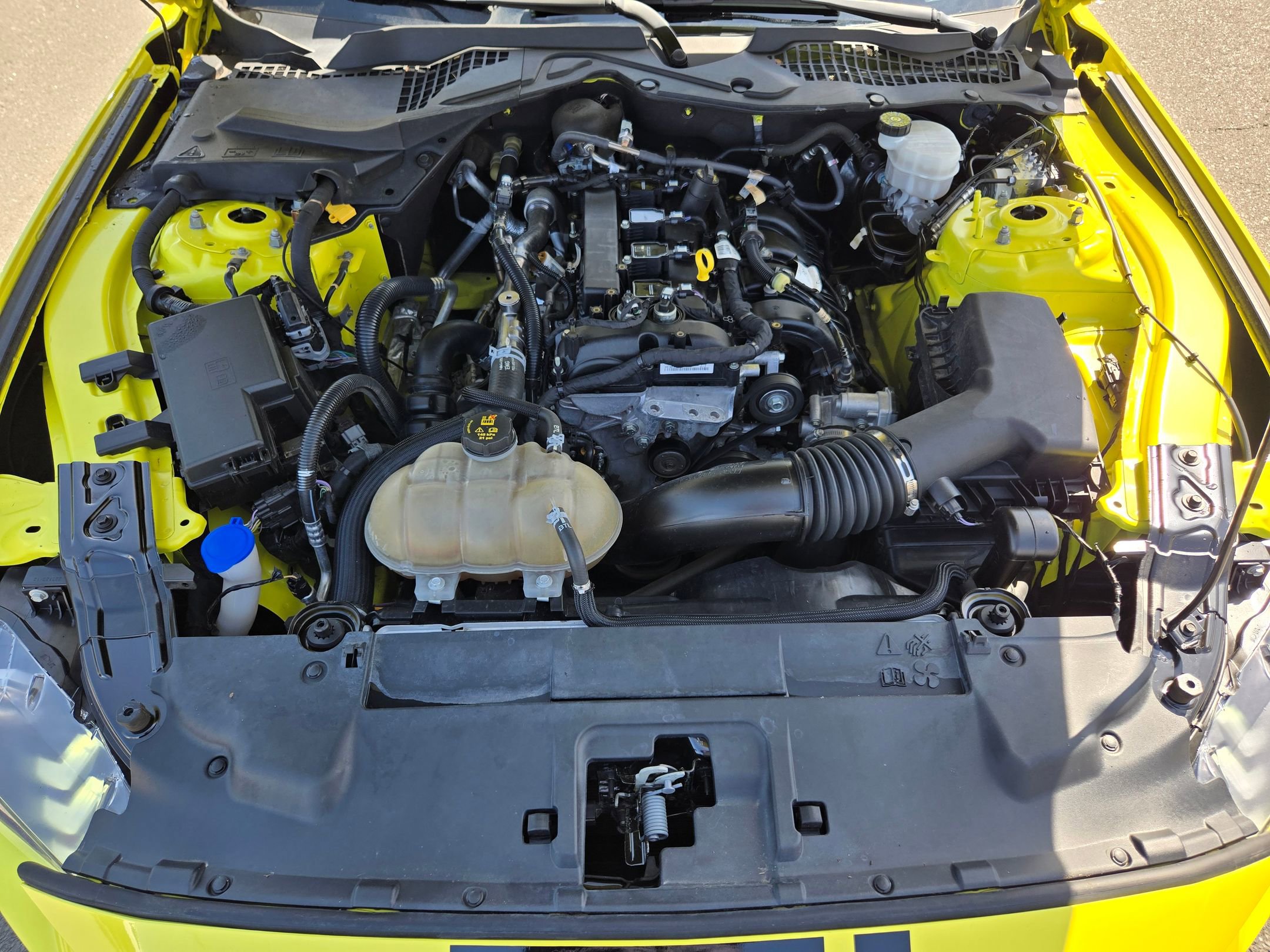 Used 2021 Ford Mustang Coupe w/ Equipment Group 101A image 19