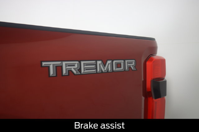 Used 2025 Ford F250 Platinum w/ Tremor Off-Road Package AWD/4WD image 28