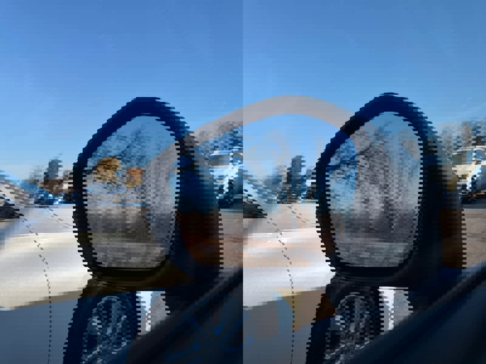 Used 2025 Honda Civic Sport Touring image 24